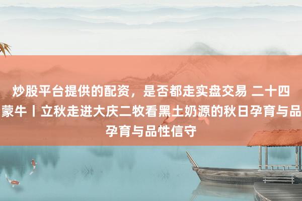 炒股平台提供的配资，是否都走实盘交易 二十四气节看蒙牛丨立秋走进大庆二牧看黑土奶源的秋日孕育与品性信守